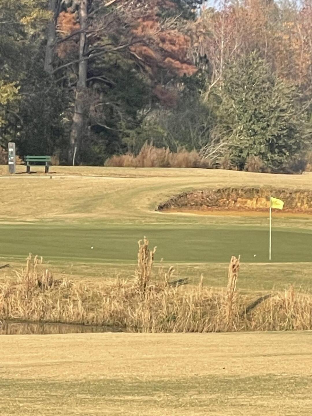 (Photo submitted by Oyob1ESnqEYVu6HVWtvx on 12/17/2025)