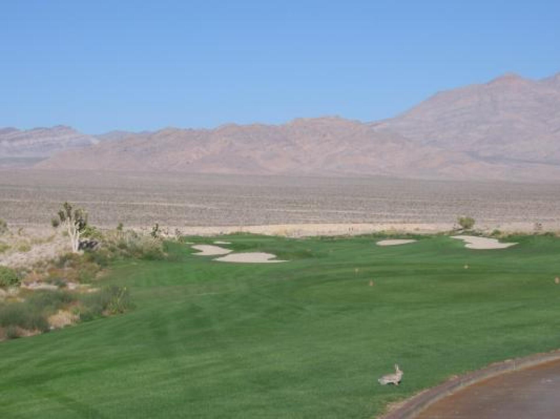 (Photo submitted by gdisalvo on 10/08/2012)