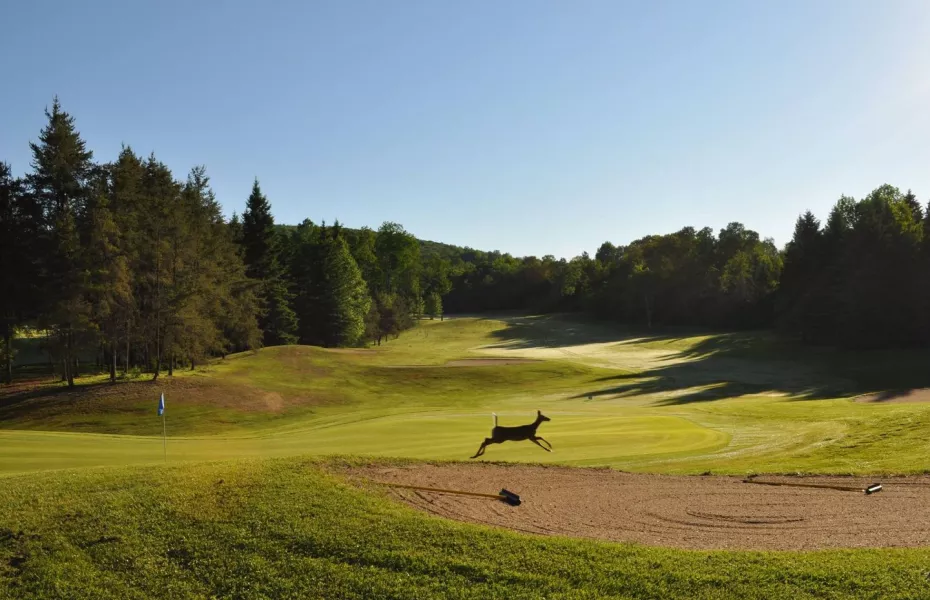 Club de Golf Vallee de la Lievre