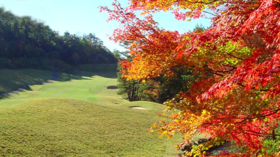 Pine Lake GC