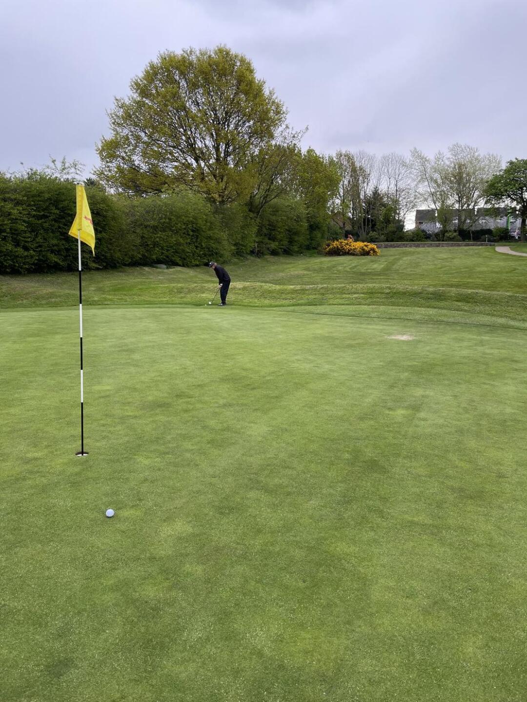 (Photo submitted by Popa71 on 04/27/2024)