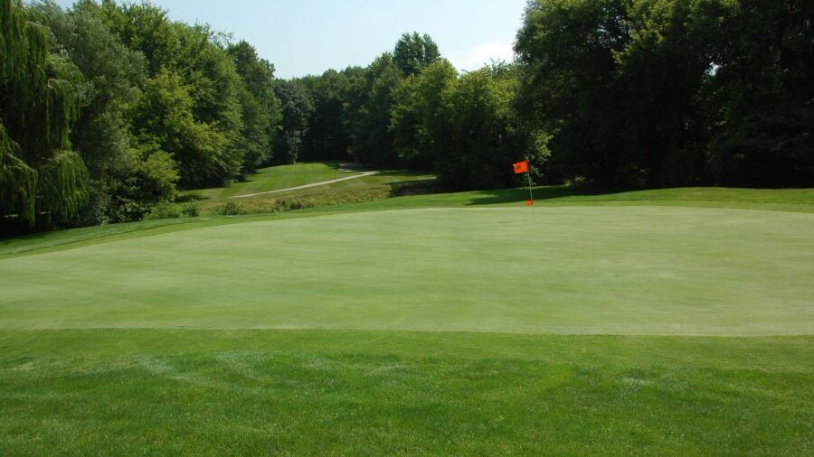Cracklewood GC: #15