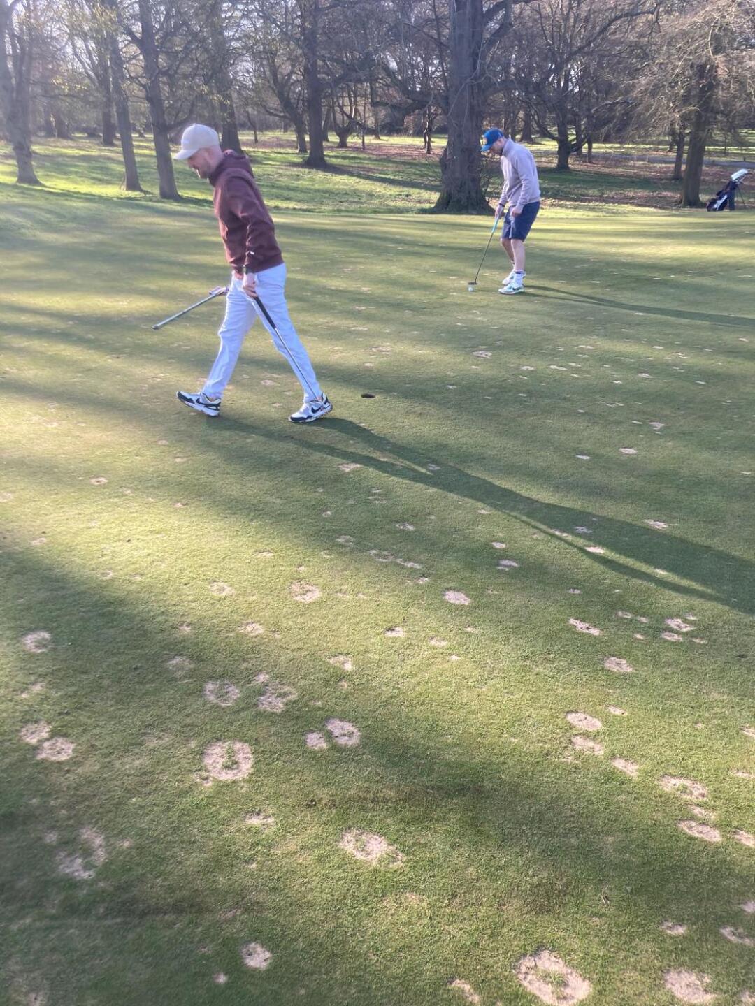 (Photo submitted by u314159434554 on 04/07/2025)