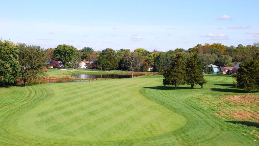 Wedgwood CC: #13