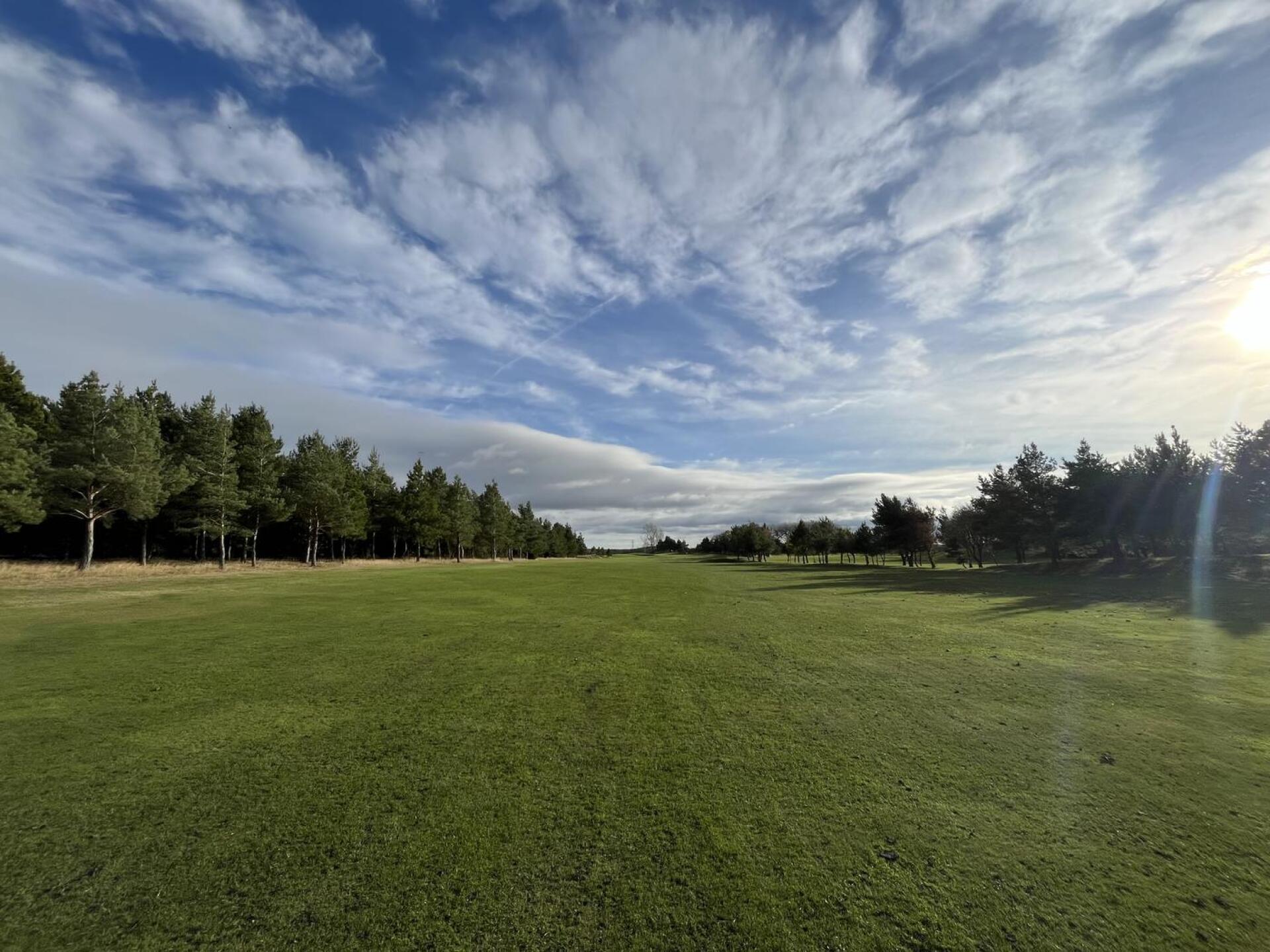 (Photo submitted by u923531828 on 11/02/2024)