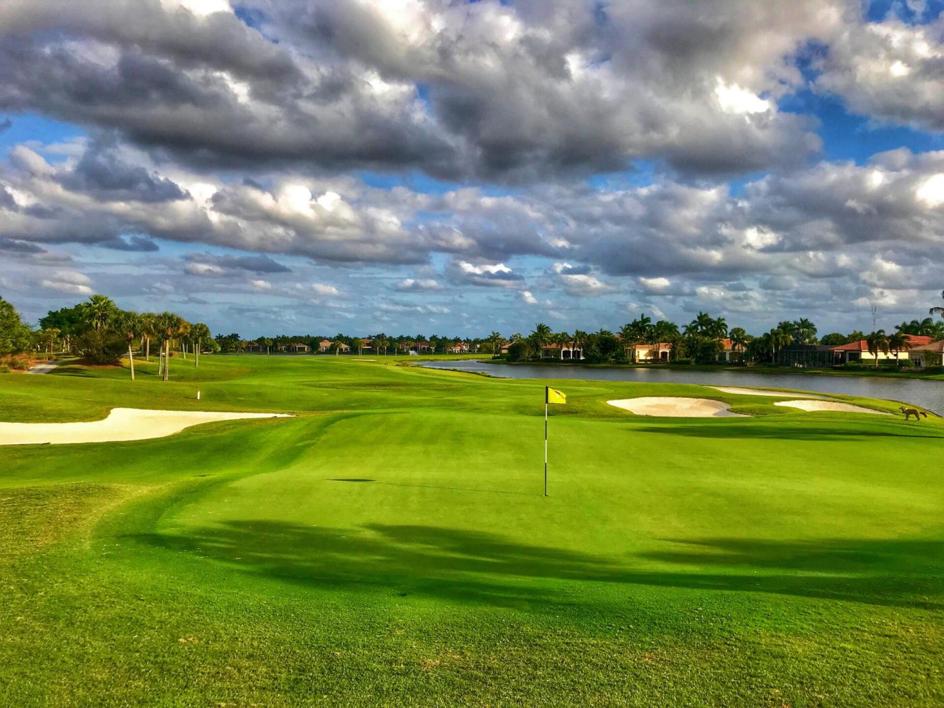 Club at Ibis (Tradition), hole 12 (Photo submitted by TimGavrichGP on 04/17/2019)