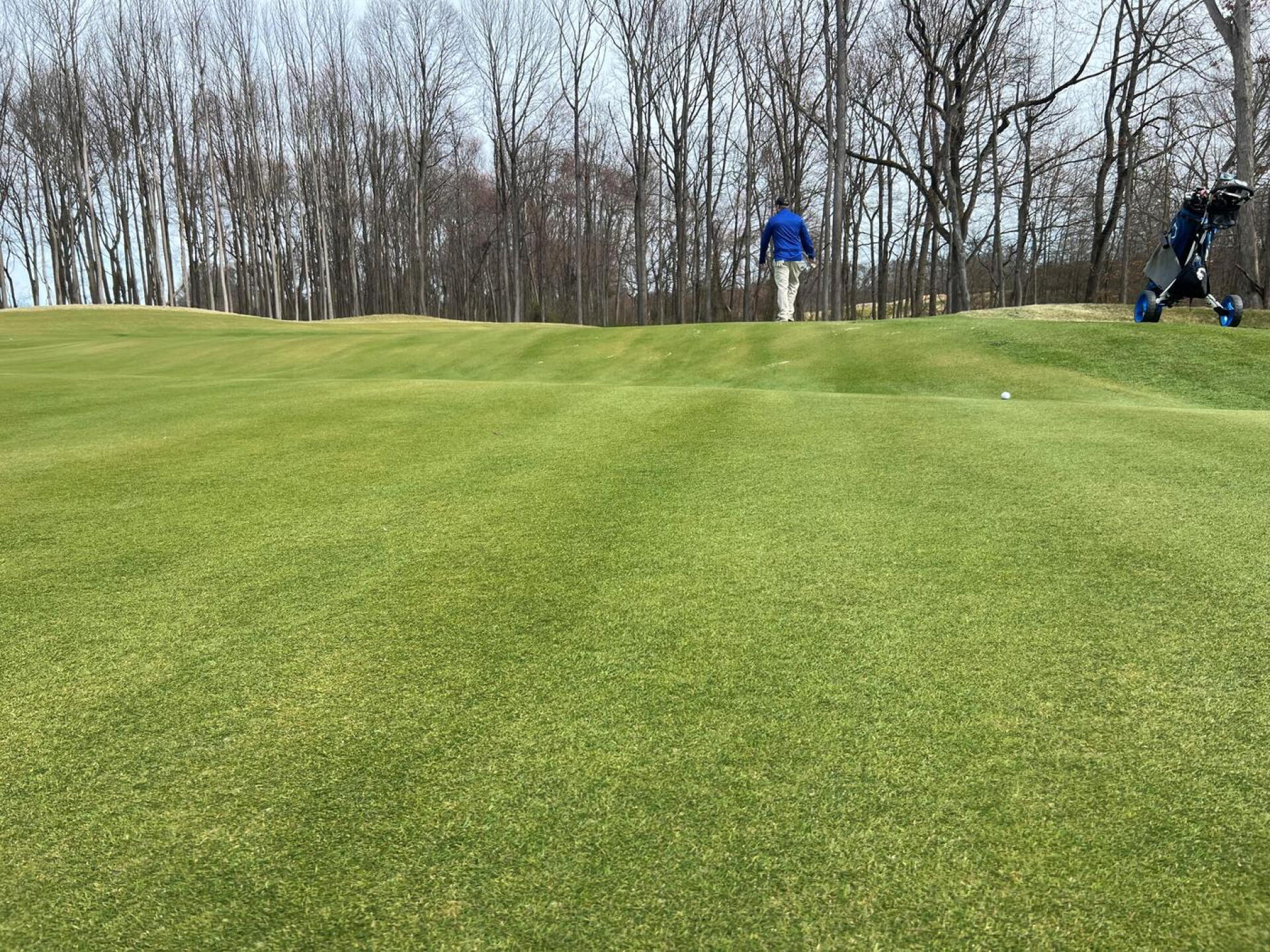 (Photo submitted by mmentzel on 03/18/2024)