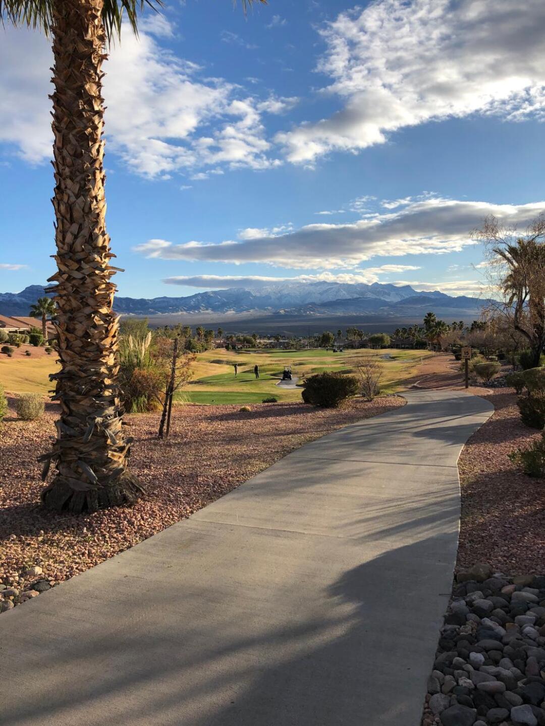 (Photo submitted by Suzanne5555 on 12/28/2019)