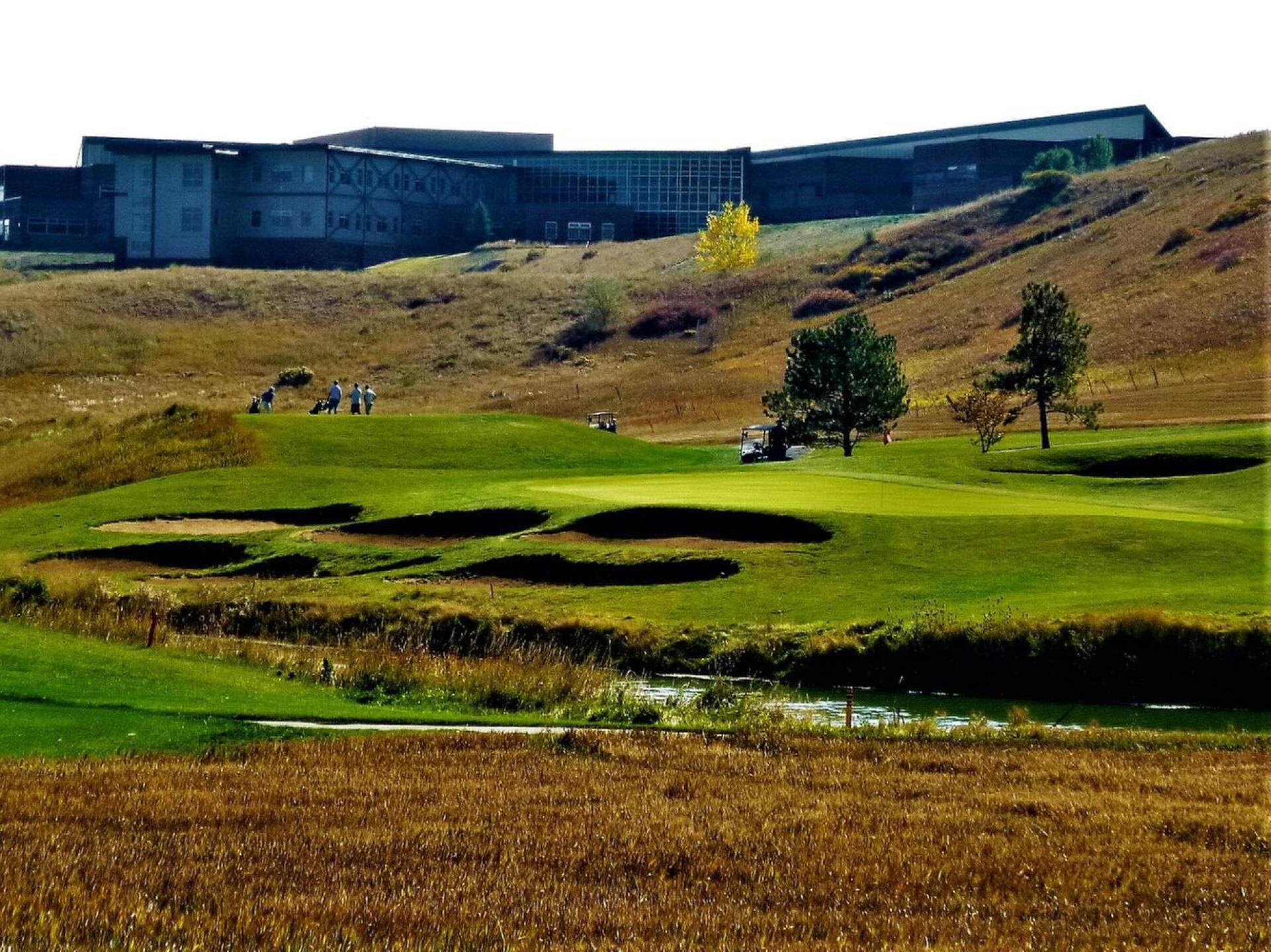 #8...stunning! (Photo submitted by DiamondAces on 10/10/2020)