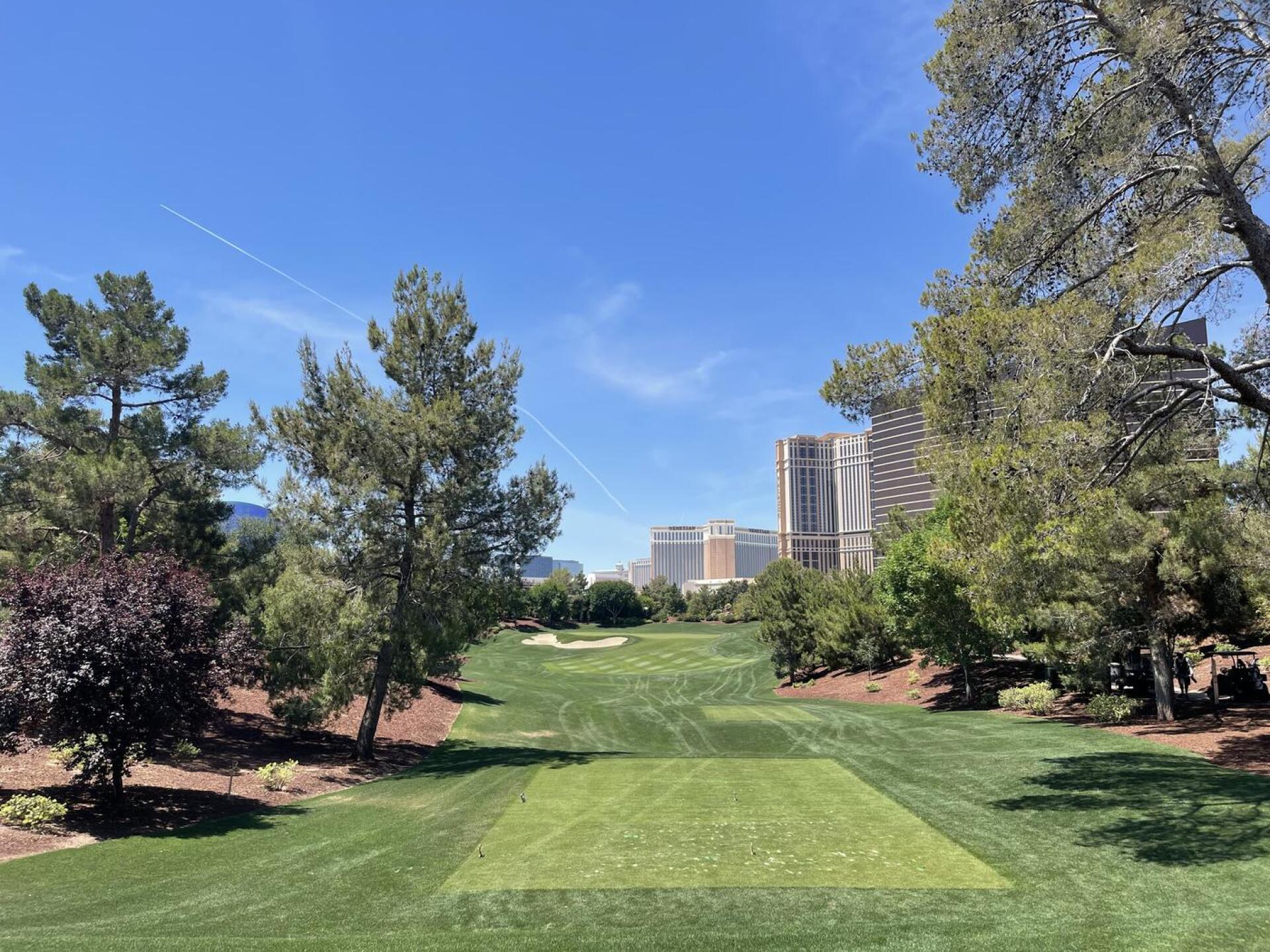 (Photo submitted by u314159839478 on 06/03/2024)