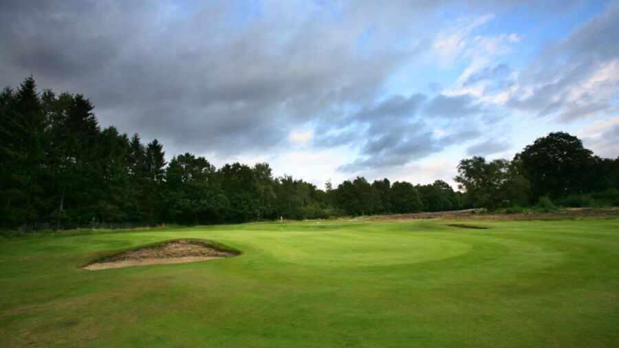 Reigate Heath  green