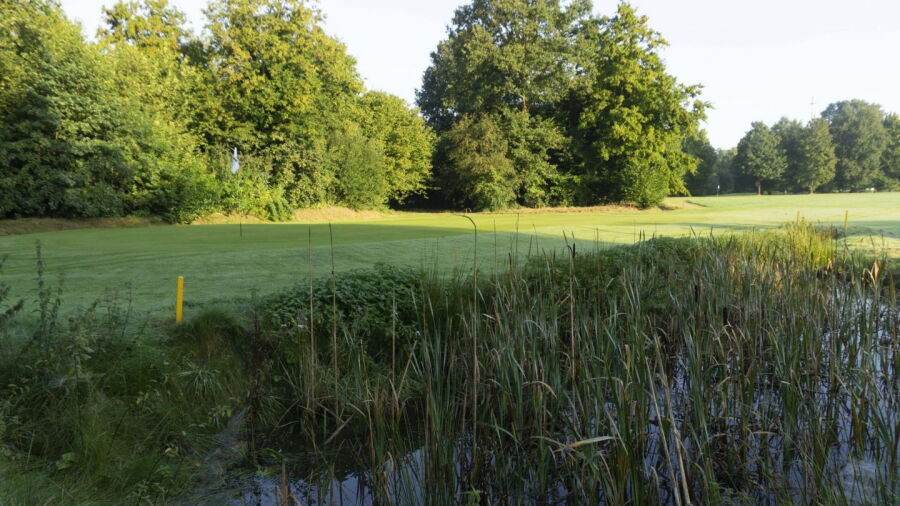 Almelo GC: #1