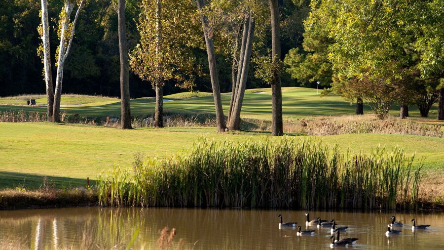 Willow Oaks CC