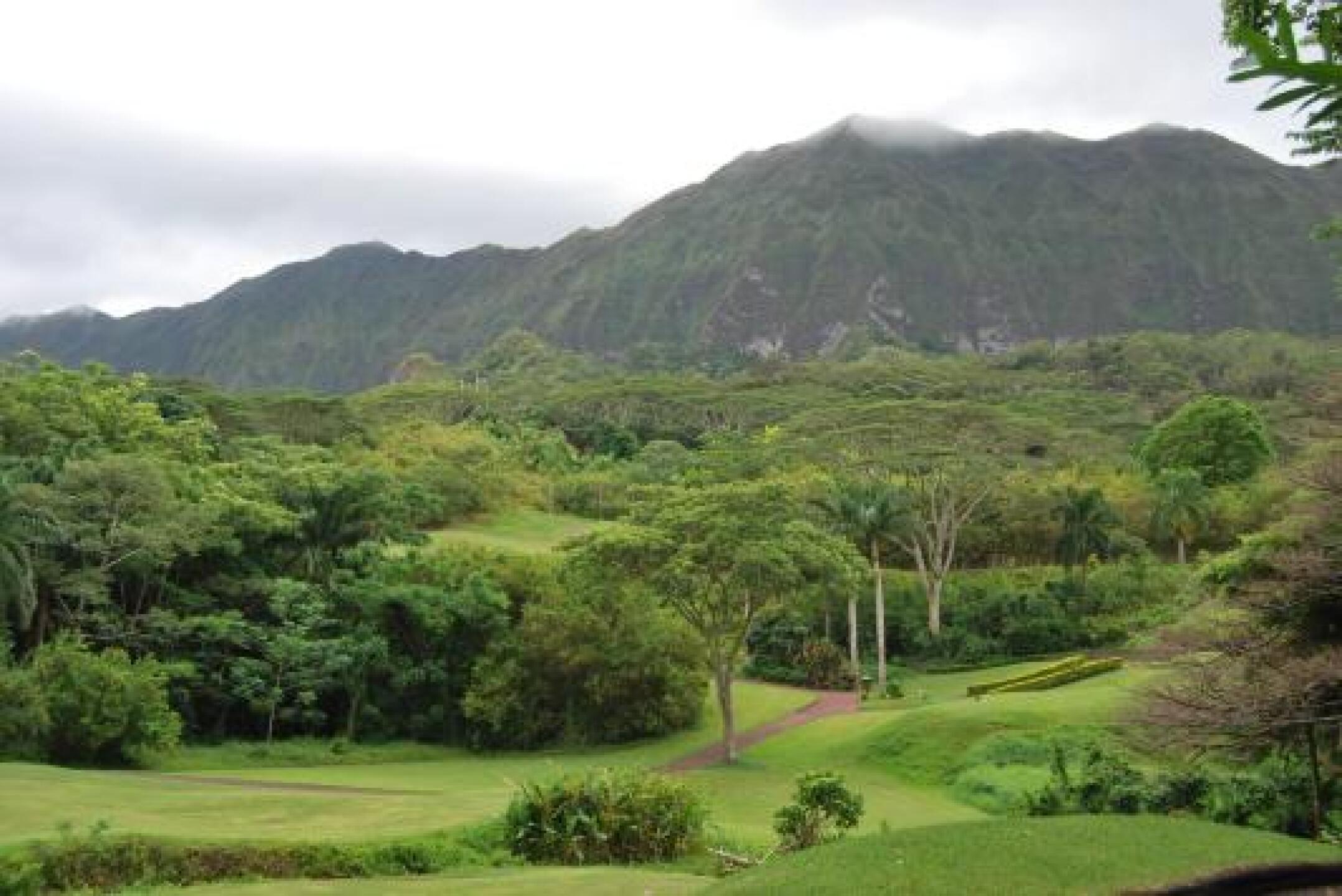 A touch of paradise! (Photo submitted by lifesaver322 on 09/25/2012)