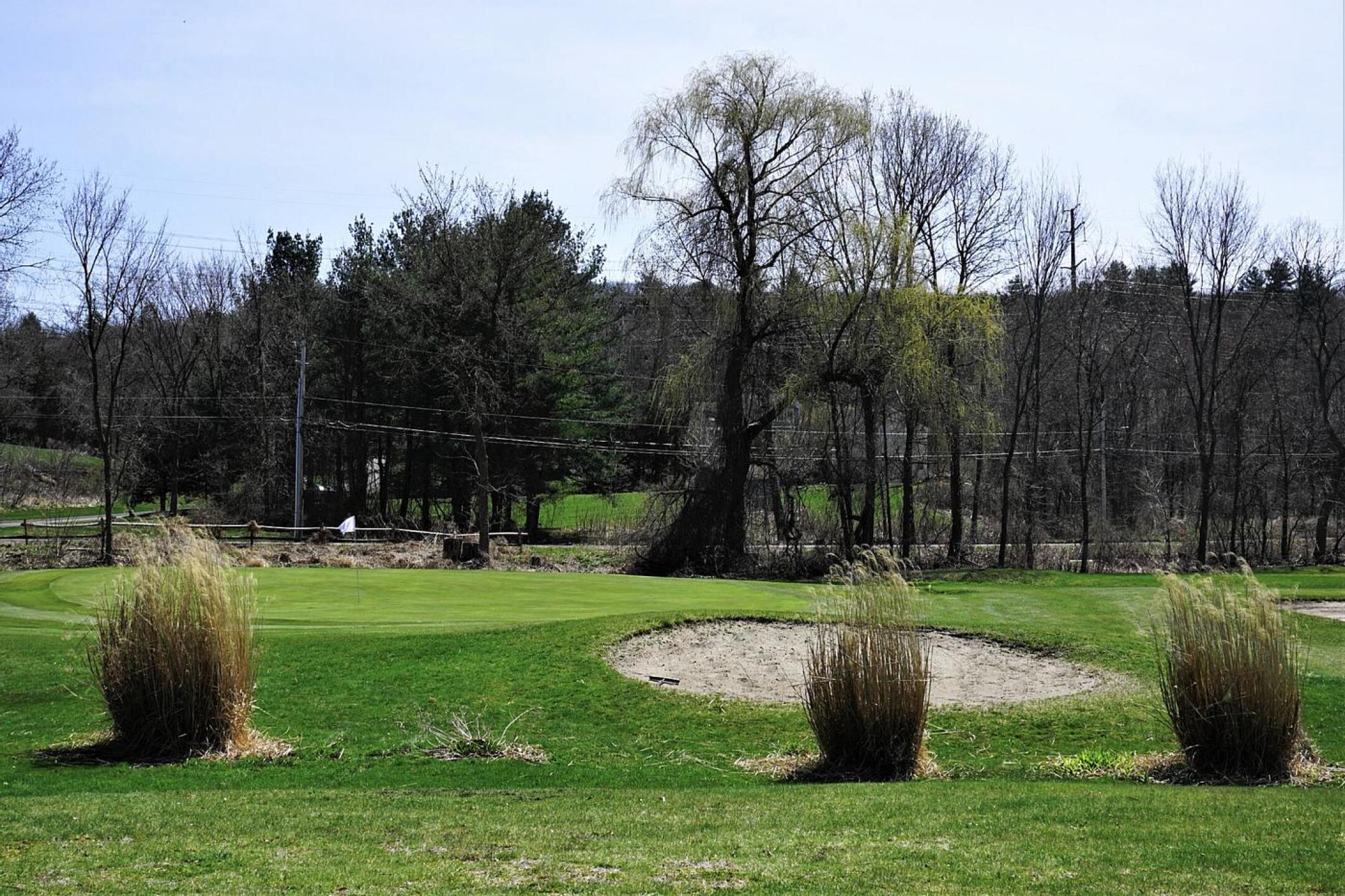 Green seven is fronted by a small stream (hidden from view) and a pair of bunkers. (Photo submitted by AptlyLinked on 04/15/2022)