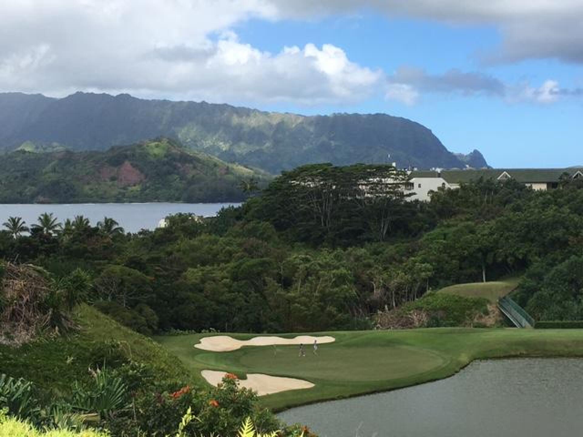 (Photo submitted by LICC on 09/08/2017)