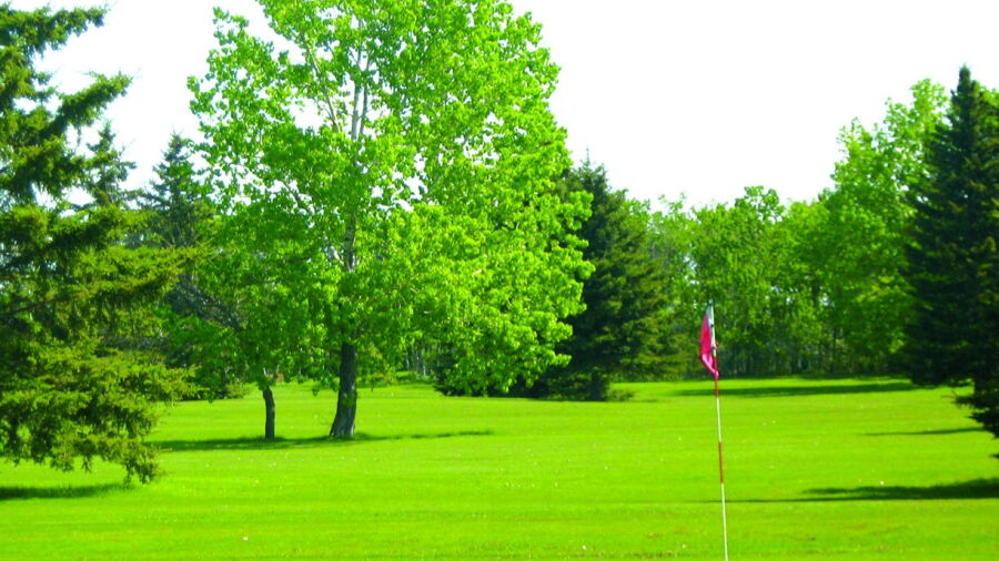 Wadena GC