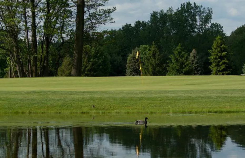 Irish at Bedford Hills GC: #7