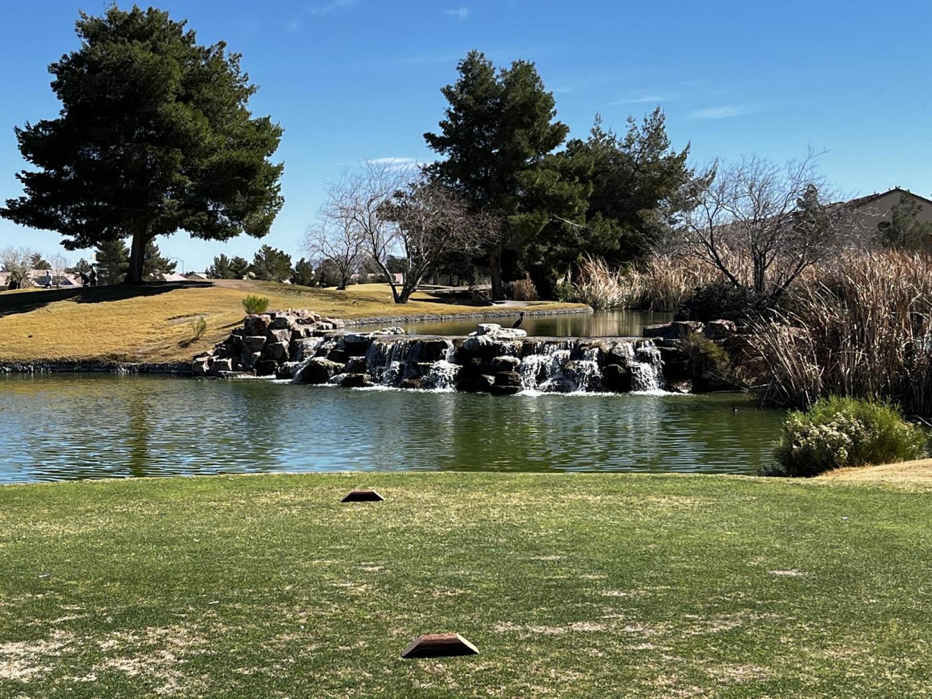 (Photo submitted by Tstep1868 on 03/02/2026)