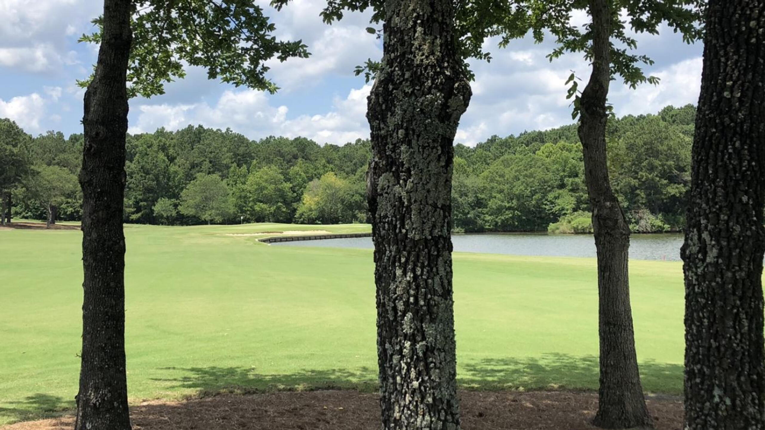 (Photo submitted by BrandonWebb on 07/18/2022)
