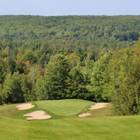 Treetops - Masterpiece golf course - 6th