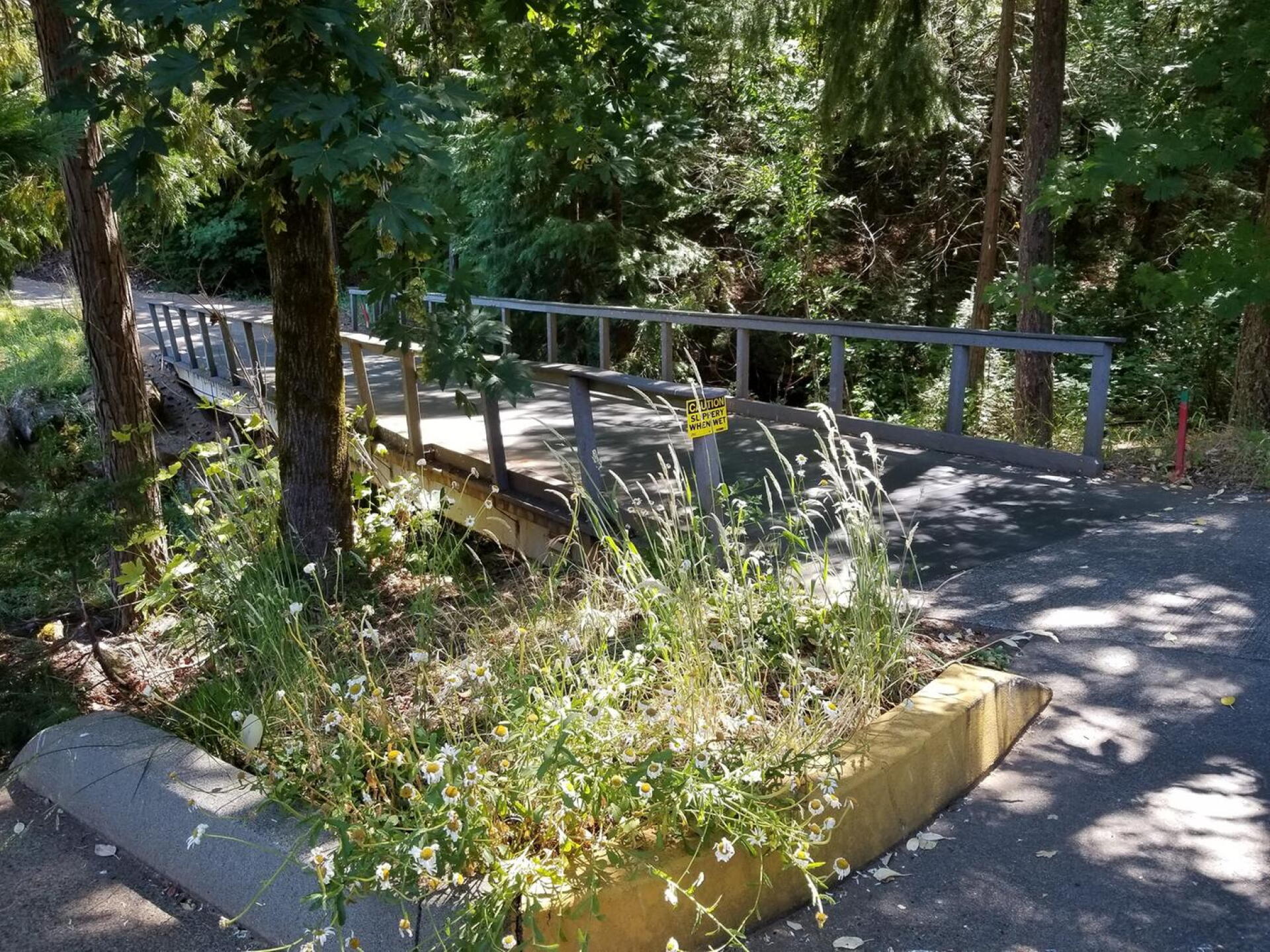 1 of several bridges (Photo submitted by Titaniumhen on 06/27/2018)