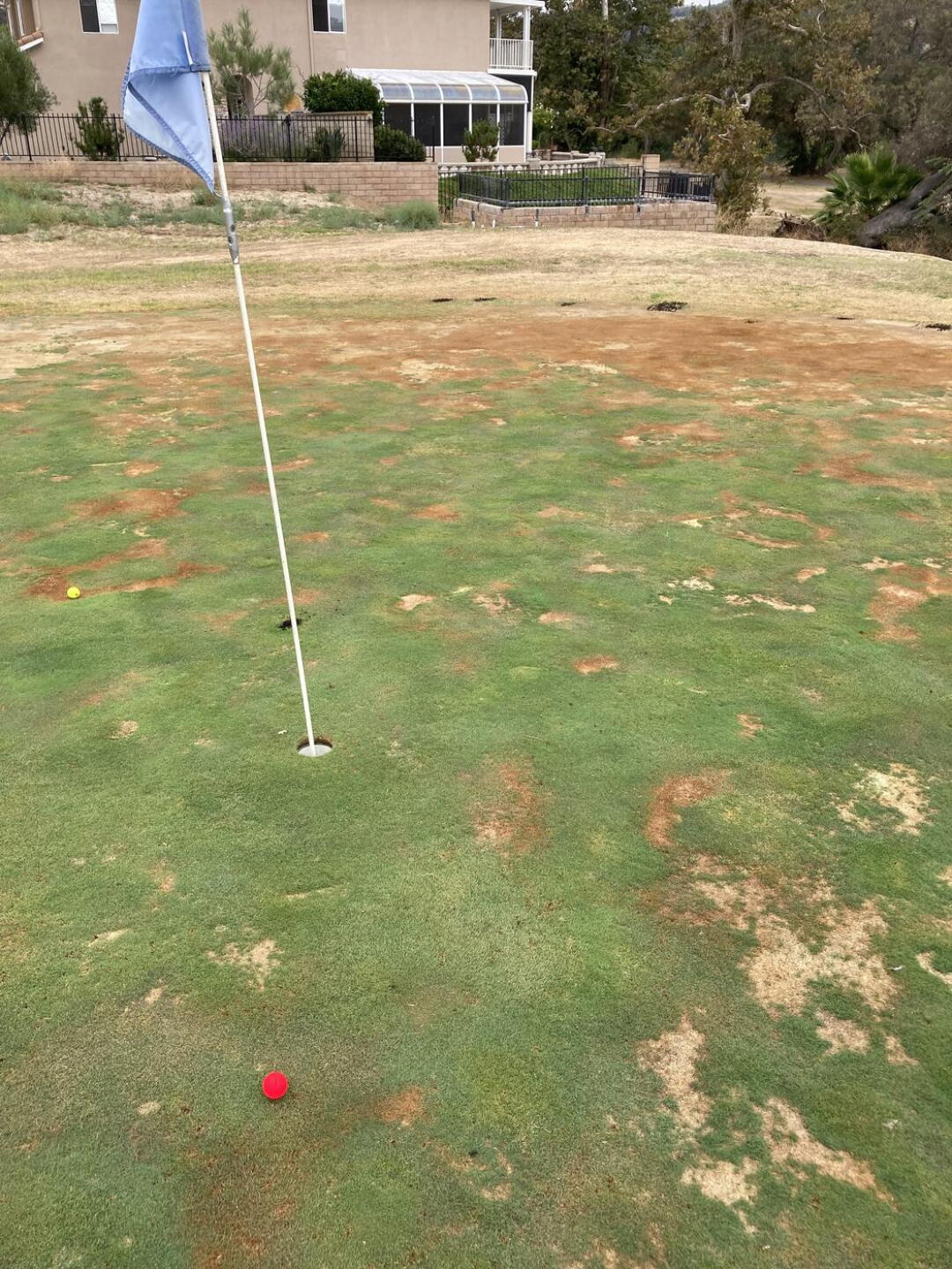 (Photo submitted by repairyourballmarks on 08/18/2021)