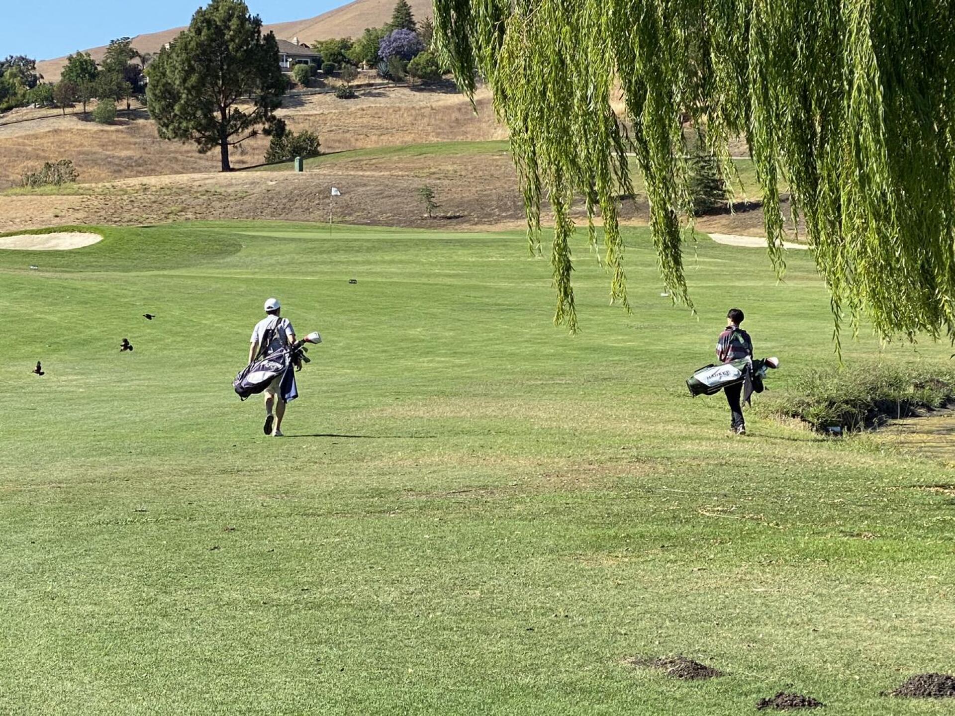 (Photo submitted by u501658031 on 07/24/2021)