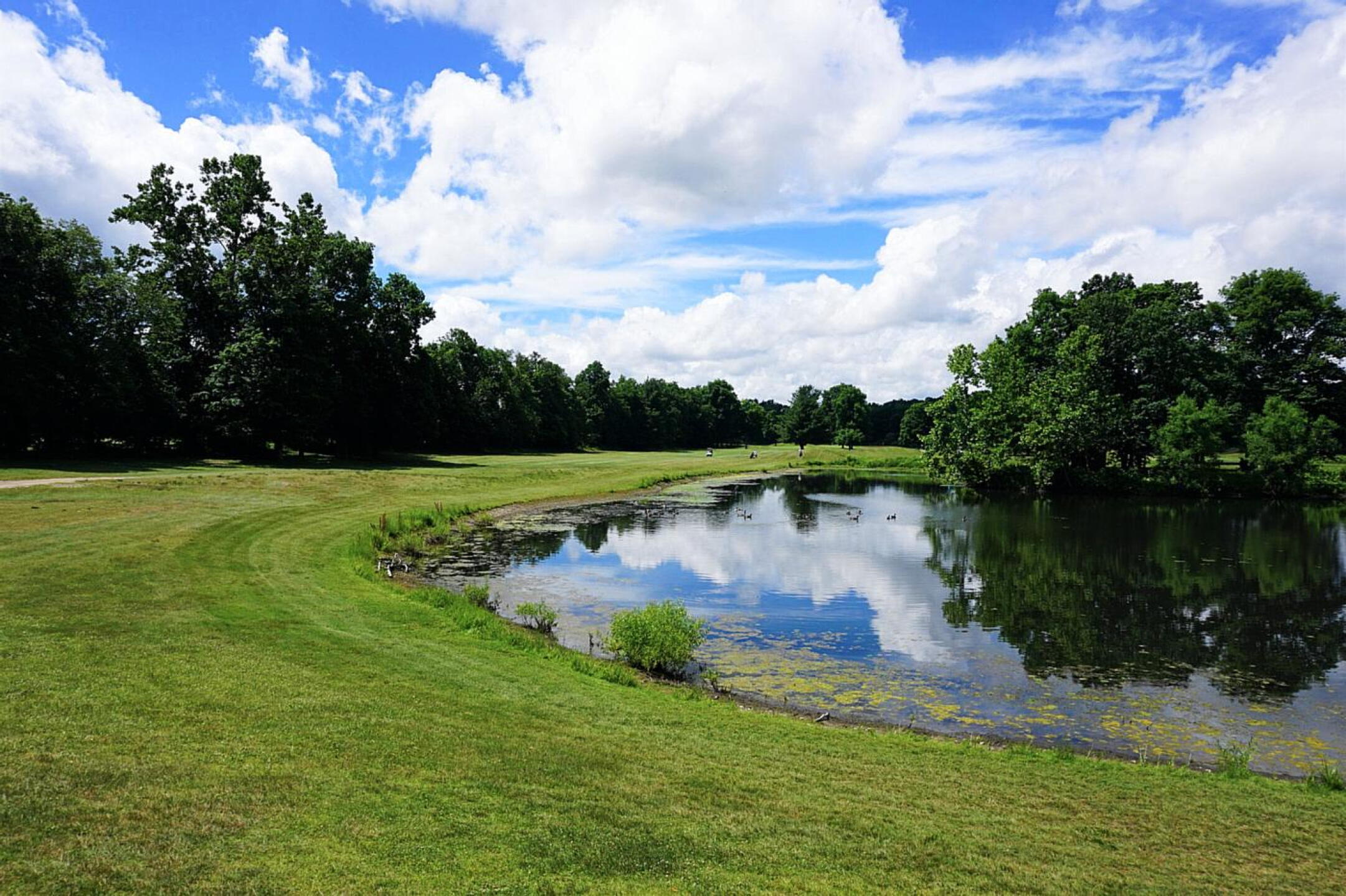 A view down the long fourth fairway, as seen from green three. (Photo submitted by AptlyLinked on 06/25/2022)