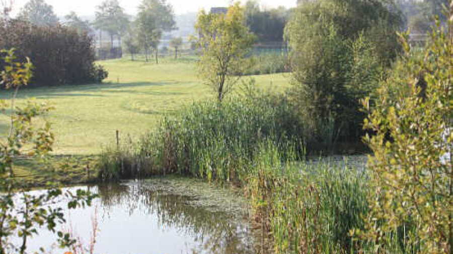 GCC de Wijnvelden