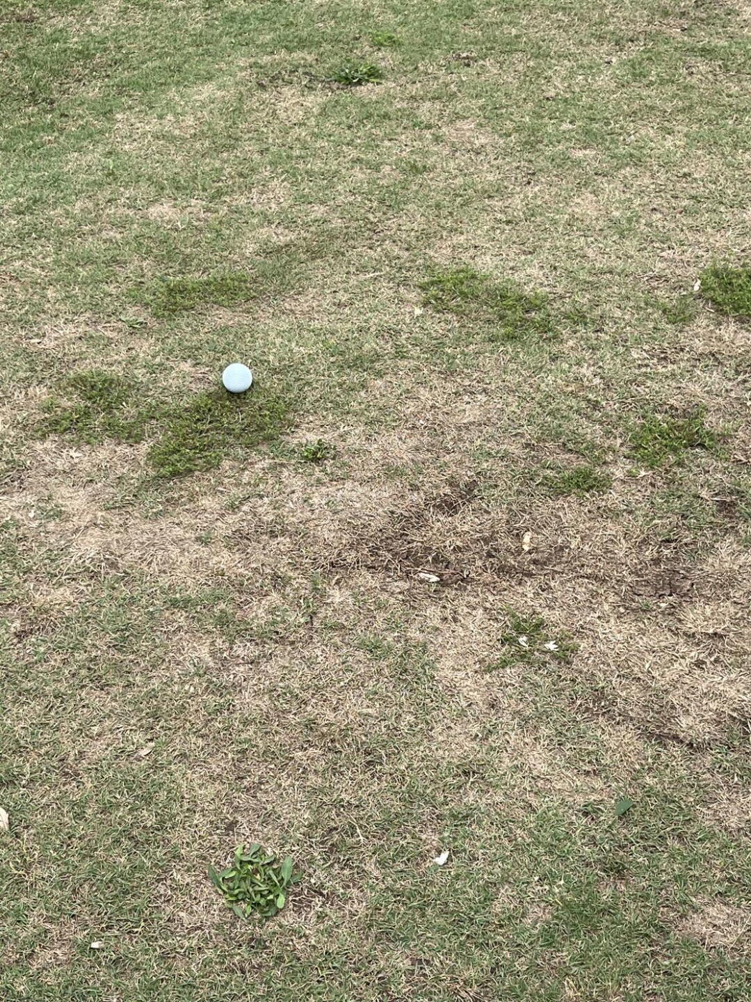 (Photo submitted by u215505674 on 04/28/2024)