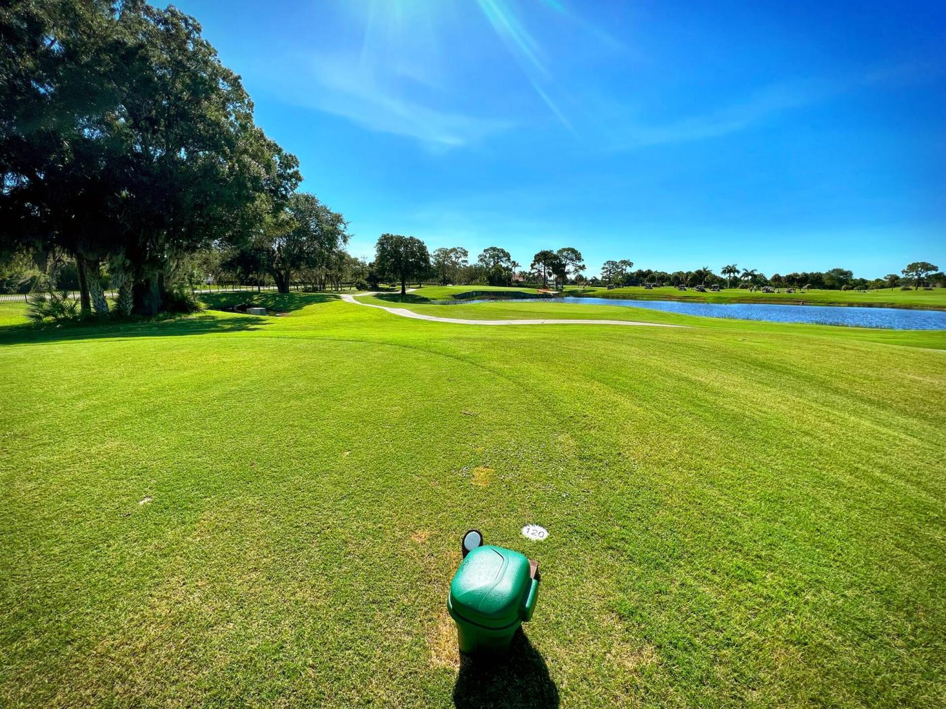 (Photo submitted by u314163020355 on 07/09/2022)