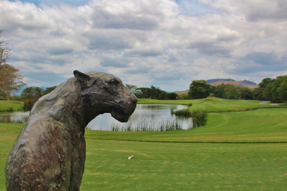 Leopard Creek C.C. golf course - no. 5