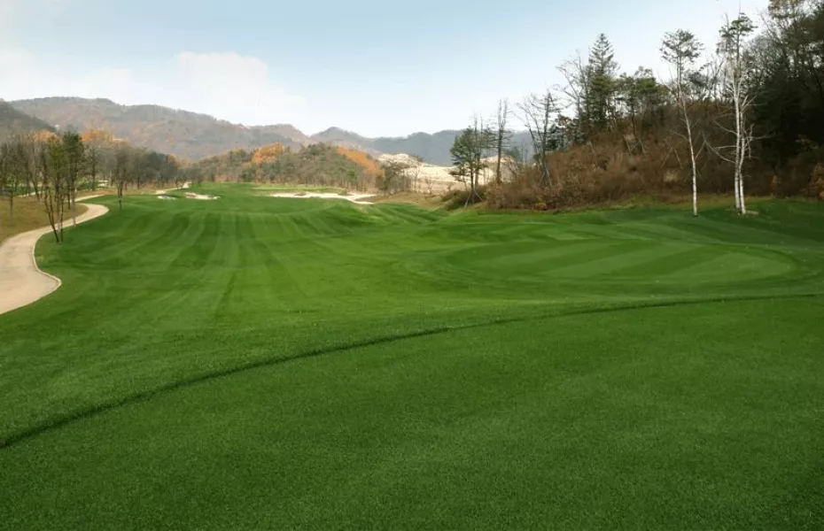 La Vie est Belle CC - Old