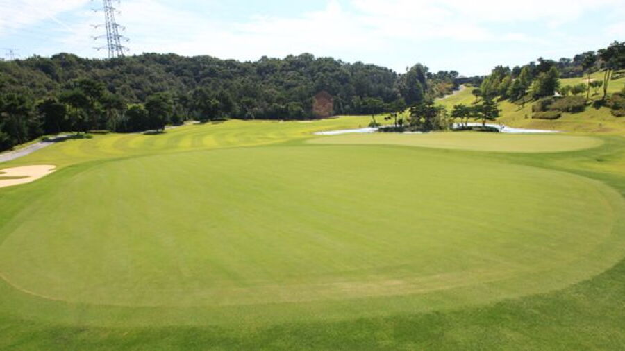Shinan CC - Orange: #5