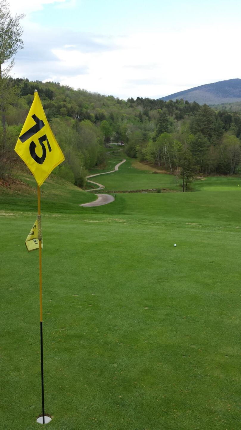 2nd shot on par 5 scenic hole on back 9. (Photo submitted by MONH1 on 05/12/2015)