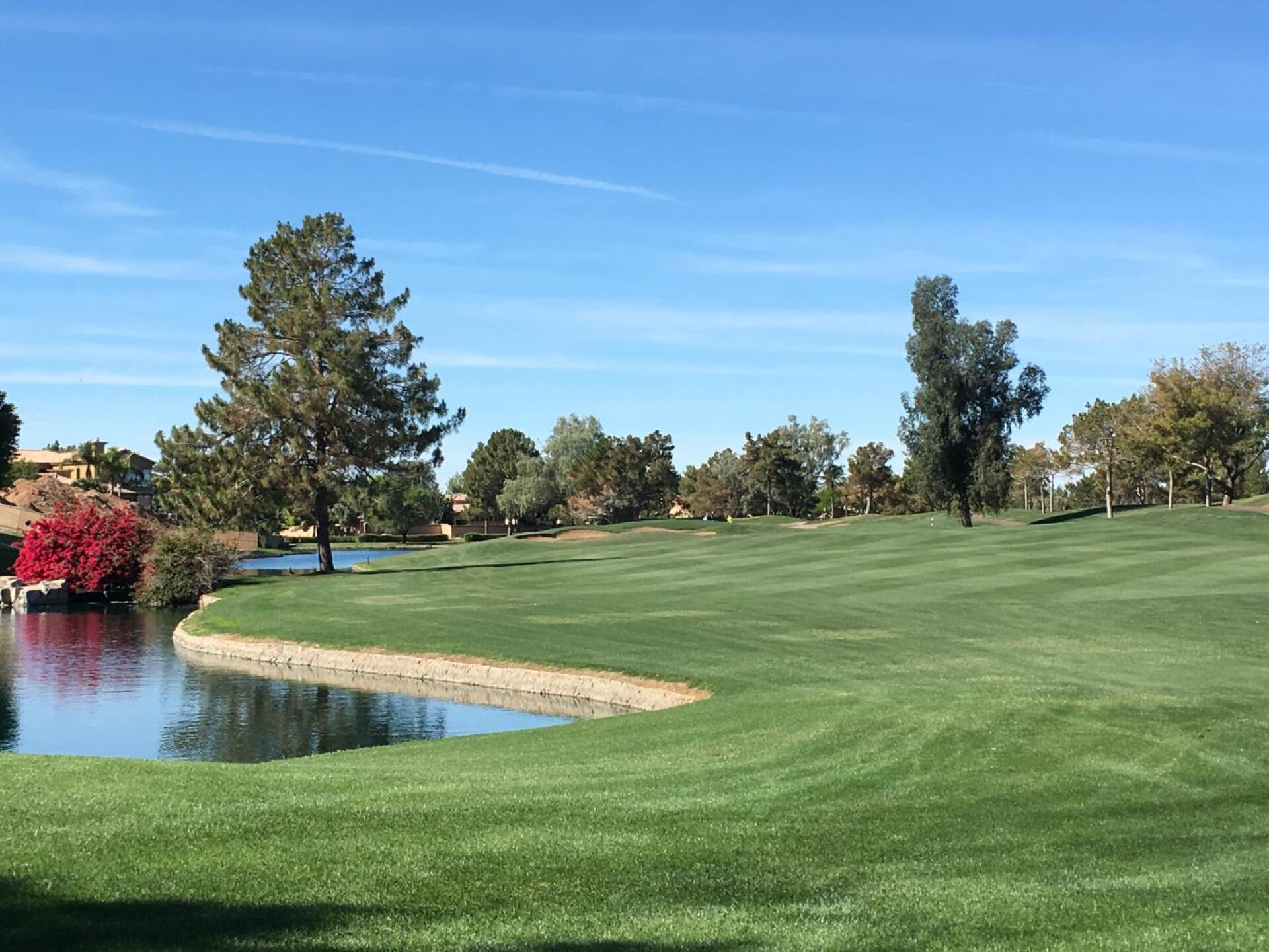 Gold course # 1 (Photo submitted by dougmacnamara on 04/18/2019)