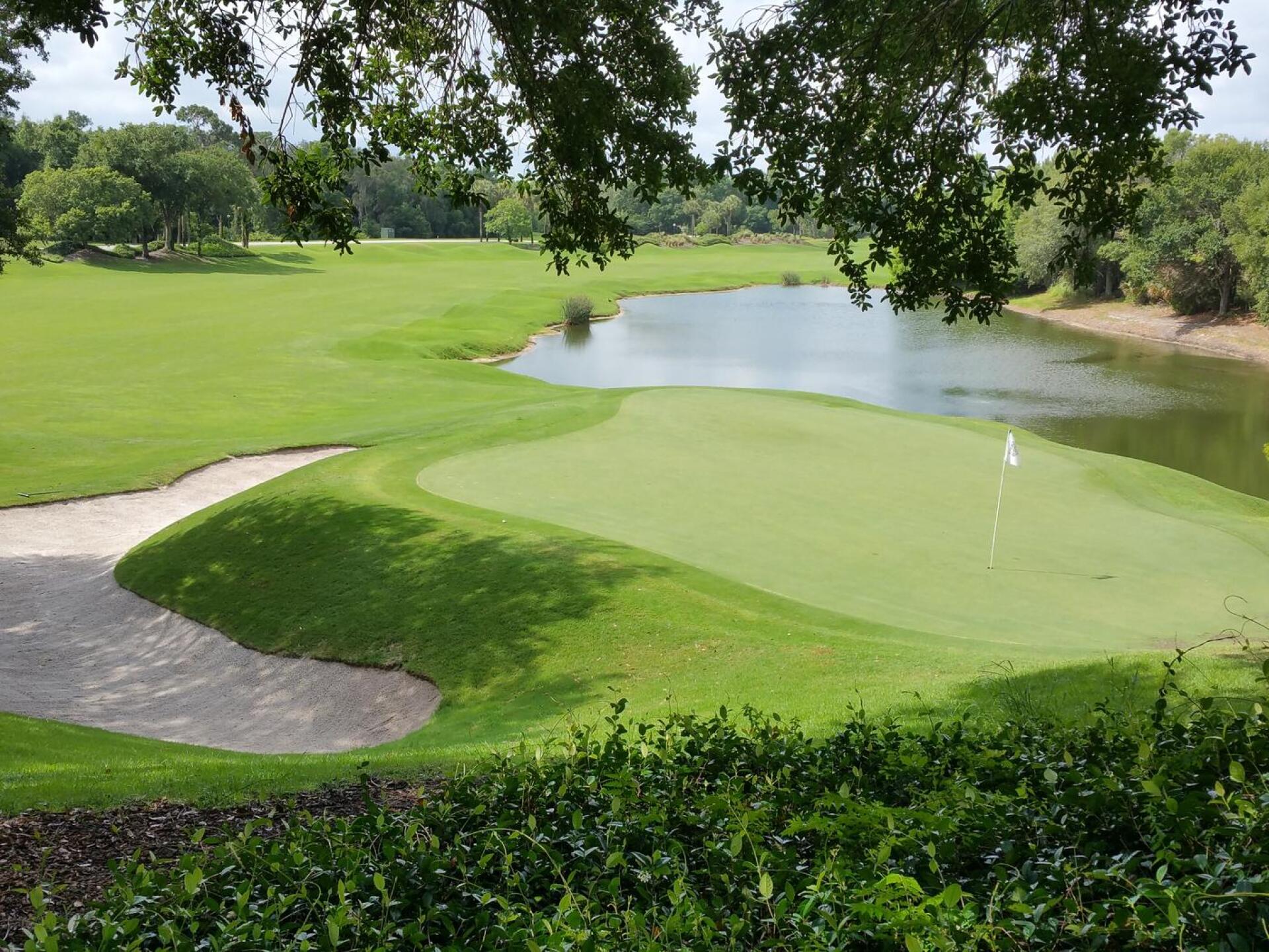 (Photo submitted by Shawn5932249 on 06/08/2015)