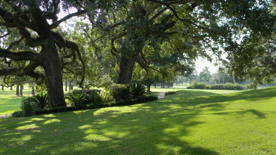Oak Knoll CC