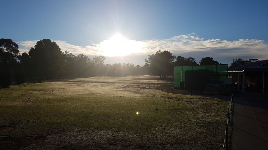 West Wyalong Country GC