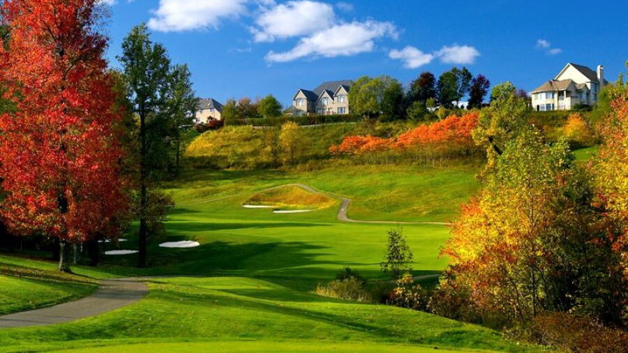 Treesdale GCC