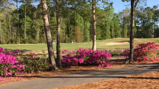 River Oaks Golf Plantation