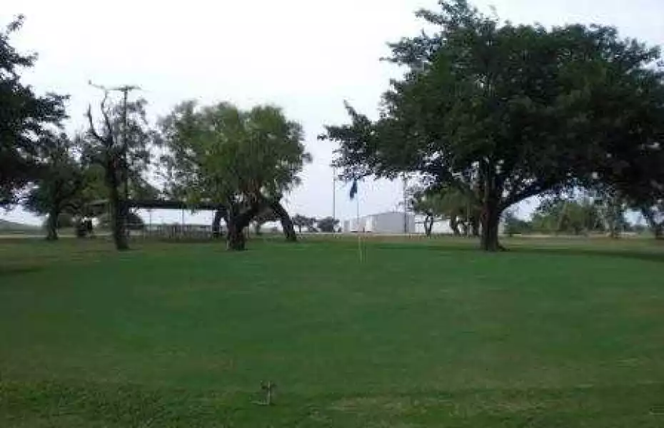 Coleman CC: #6
