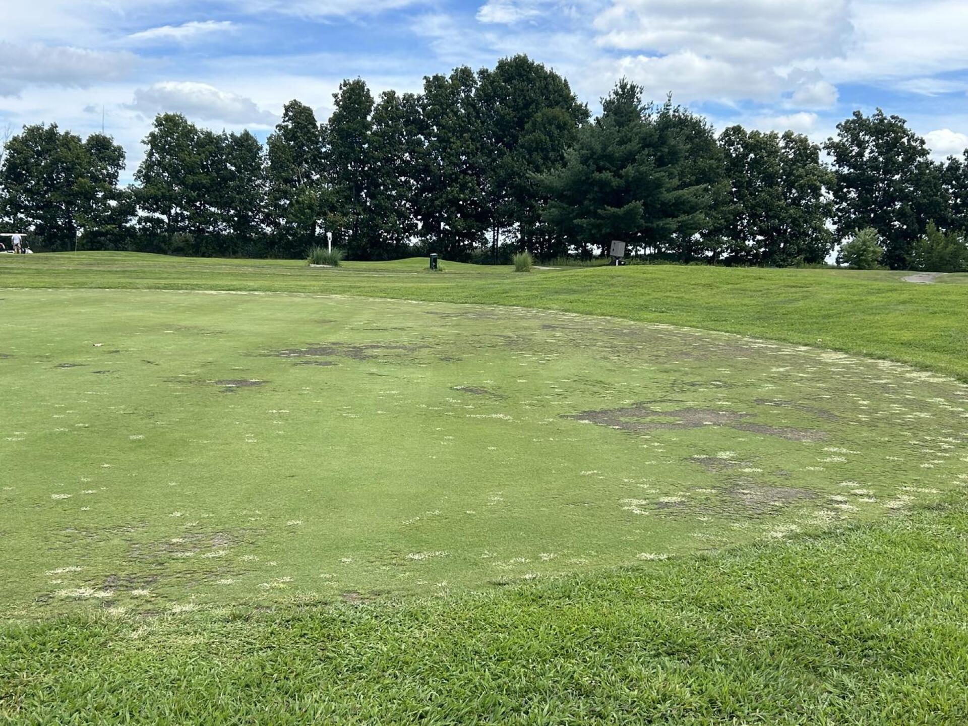 (Photo submitted by tgriffith94 on 08/11/2024)