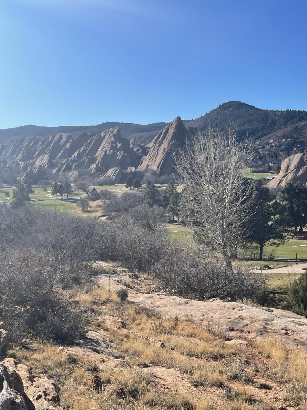 (Photo submitted by joshsmith12 on 12/12/2023)