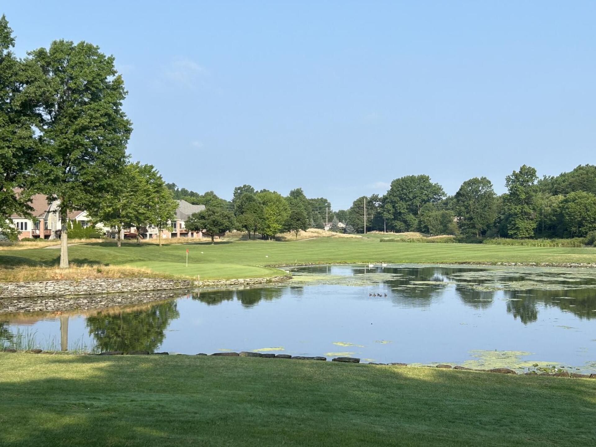 (Photo submitted by hornedwoodchuck on 08/12/2024)