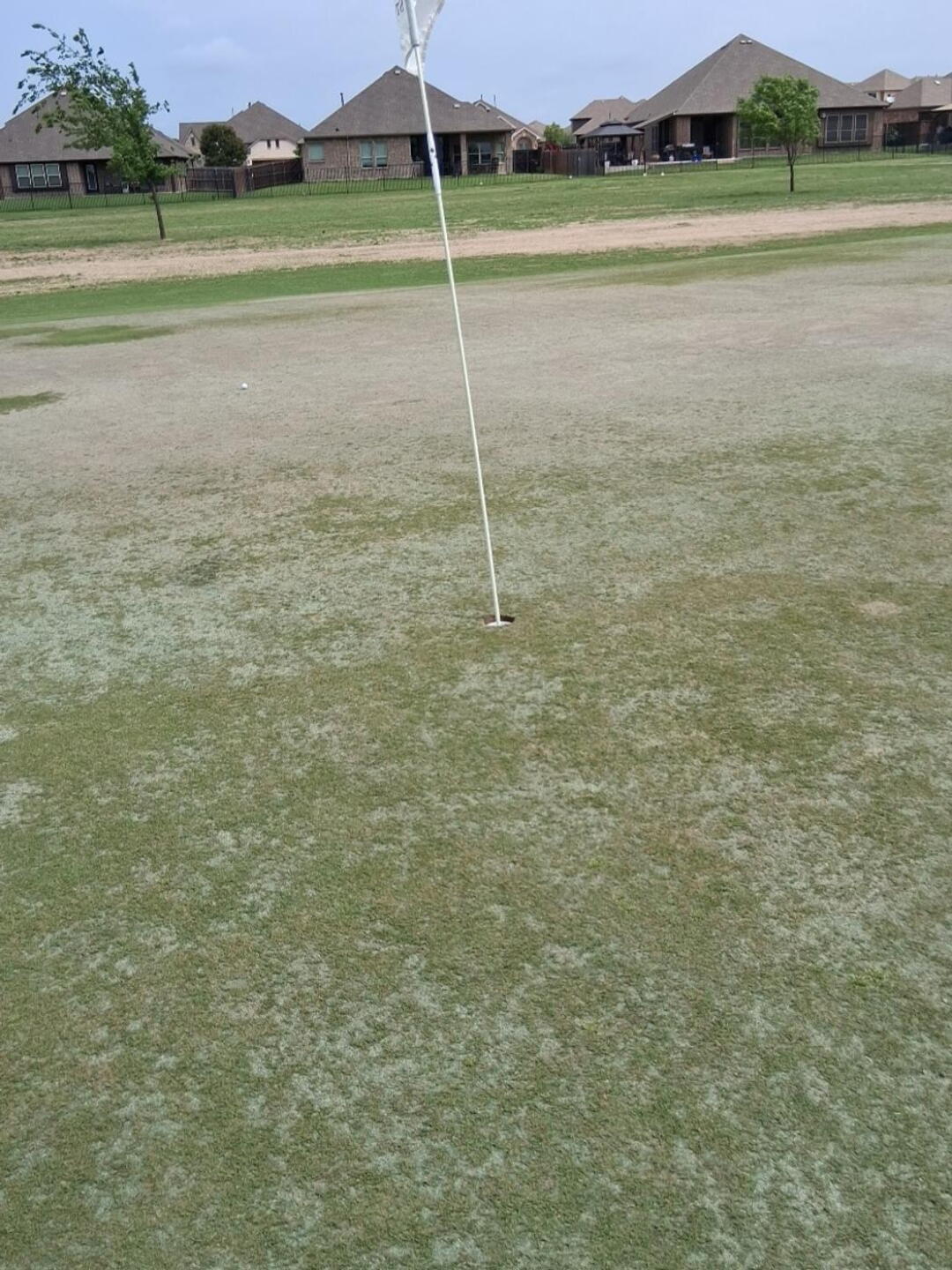 (Photo submitted by RuRlLLjbG4jPdJyk5QtD on 04/17/2026)