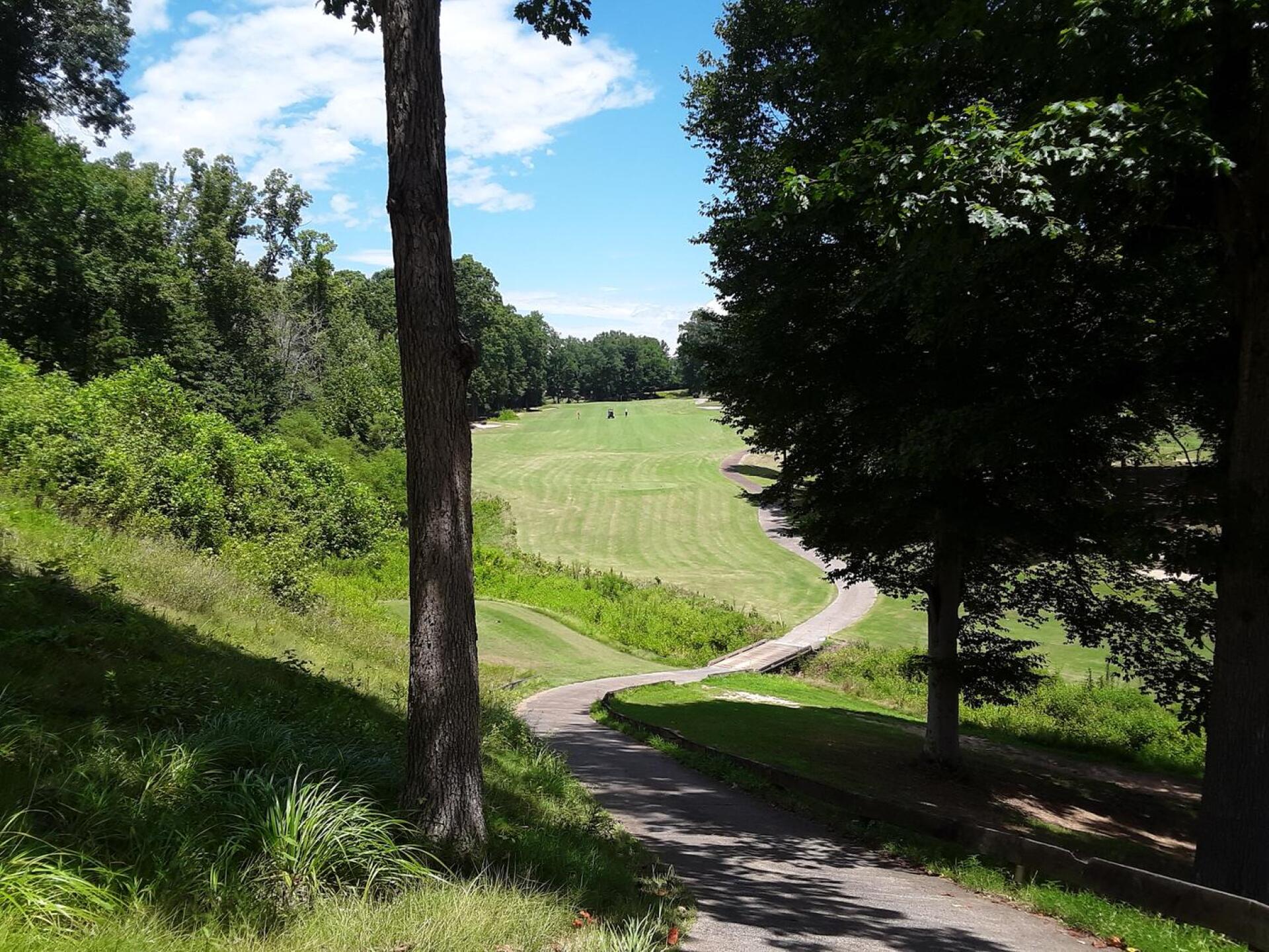 (Photo submitted by ewillisjr on 08/08/2020)