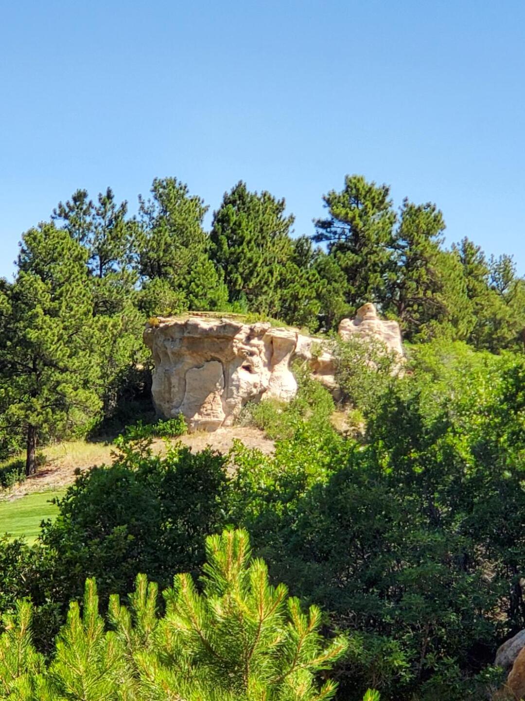 (Photo submitted by u472913953 on 07/08/2020)