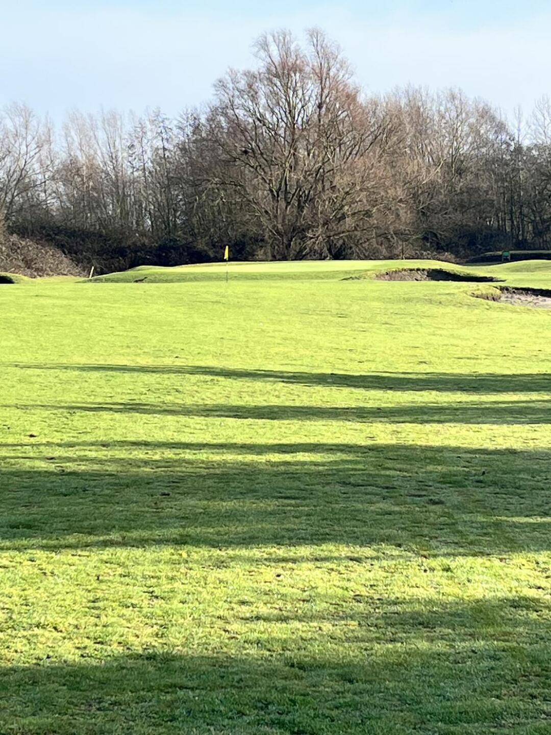 (Photo submitted by u314160305699 on 01/29/2026)